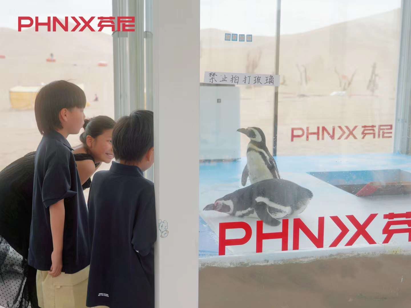 沙漠挑戰 沙漠挑戰