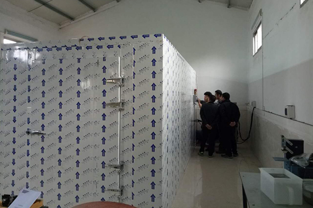 廣東湛江夏威夷果烘干 