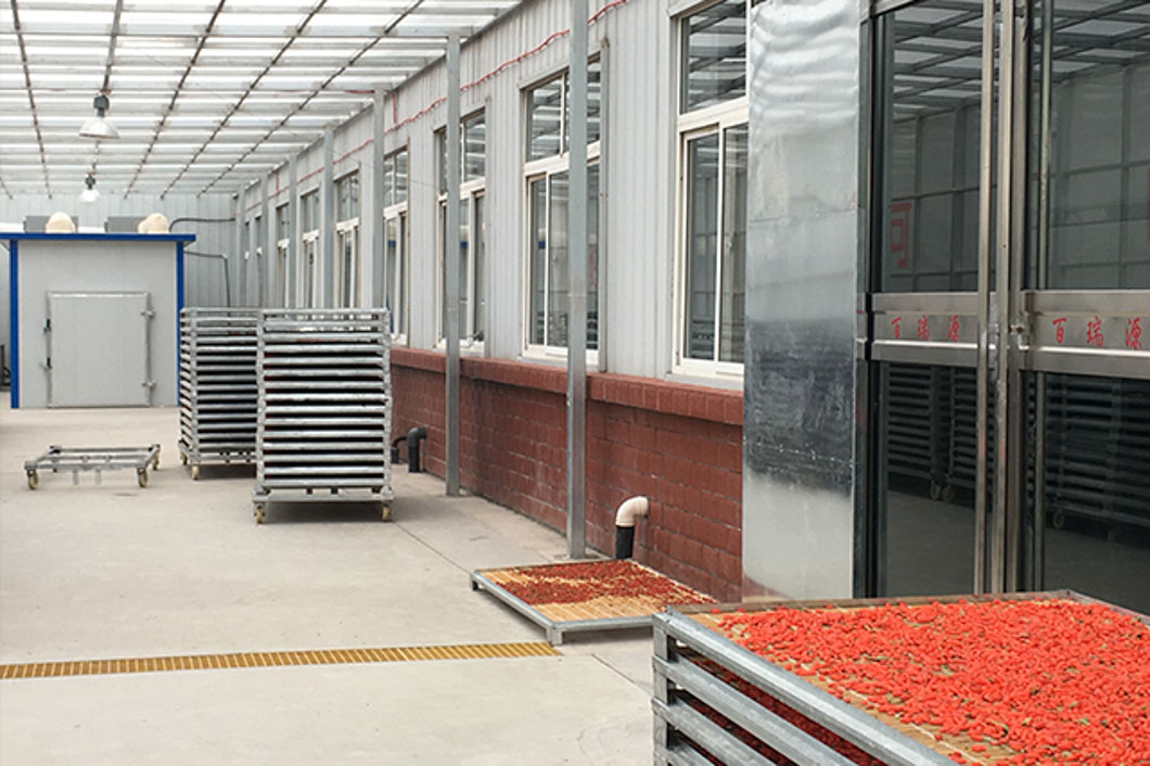 銀川百瑞源枸杞烘干 